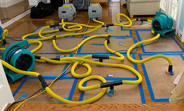 Professional Emergency Water Removal technician working in Brooksville, FL